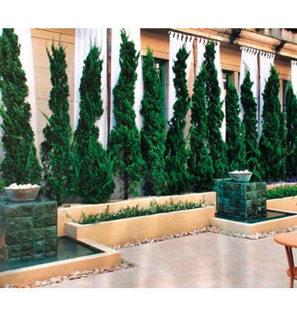  CasaCor Gigi Botelho Paisagismo